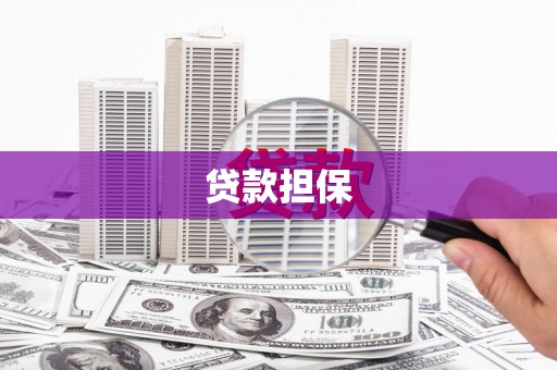 循化贷款担保