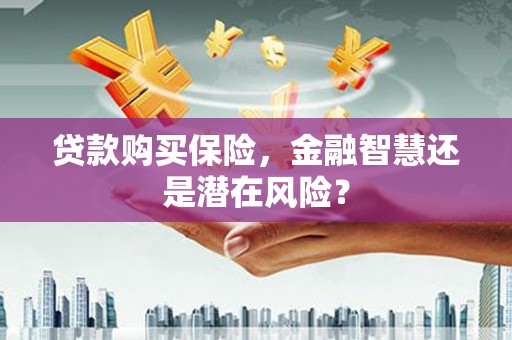 循化贷款购买保险，金融智慧还是潜在风险？