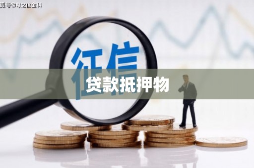 循化贷款抵押物