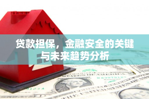 循化贷款担保，金融安全的关键与未来趋势分析