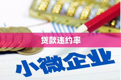 循化贷款违约率