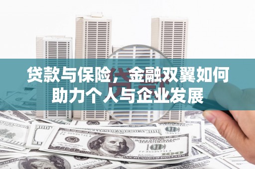 循化贷款与保险，金融双翼如何助力个人与企业发展