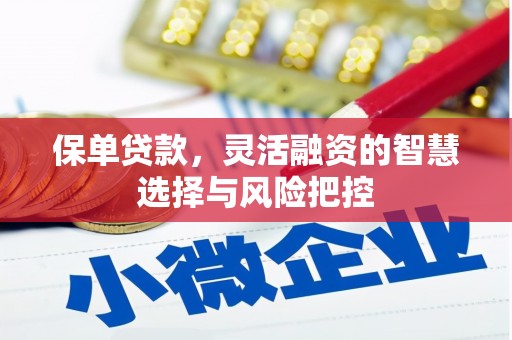 循化保单贷款，灵活融资的智慧选择与风险把控