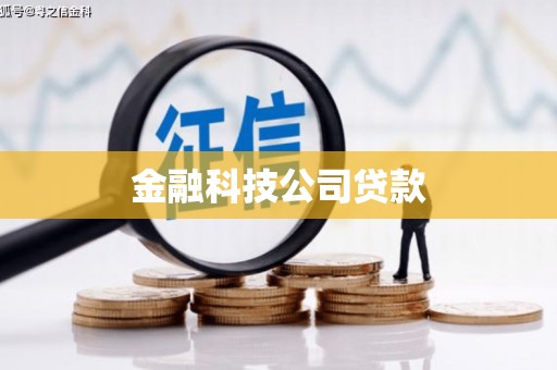 循化金融科技公司贷款
