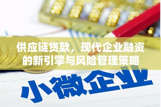 循化供应链贷款，现代企业融资的新引擎与风险管理策略
