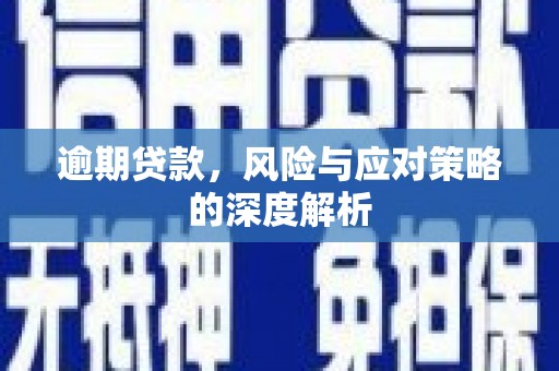 循化逾期贷款，风险与应对策略的深度解析