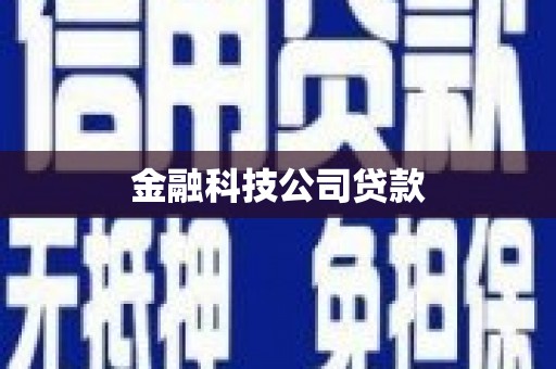 循化金融科技公司贷款