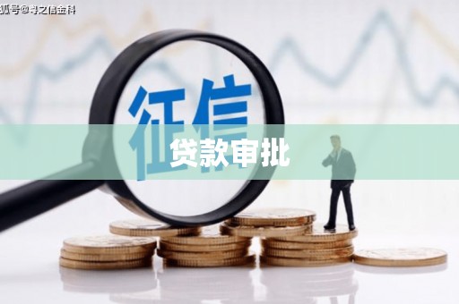 循化贷款审批