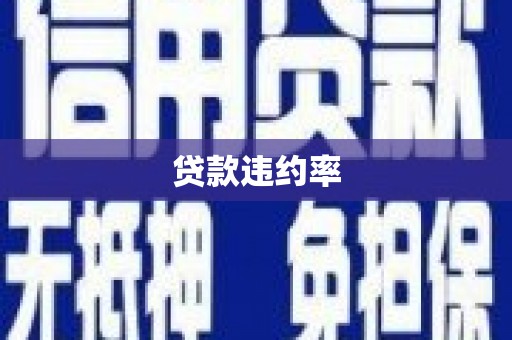 循化贷款违约率