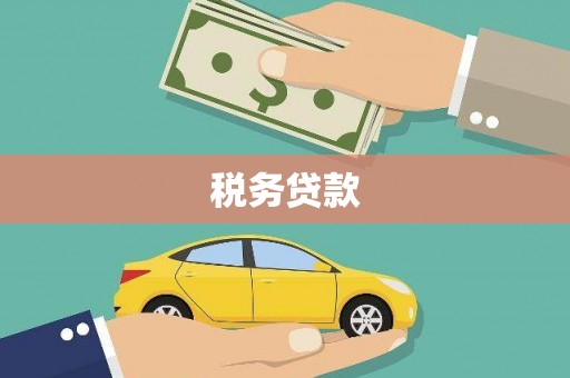 循化税务贷款