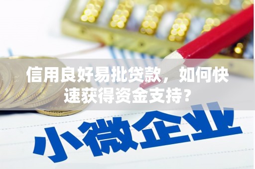 循化信用良好易批贷款，如何快速获得资金支持？