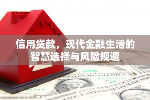 循化信用贷款，现代金融生活的智慧选择与风险规避