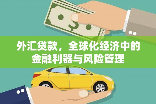 循化外汇贷款，全球化经济中的金融利器与风险管理