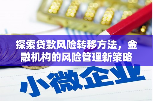循化探索贷款风险转移方法，金融机构的风险管理新策略