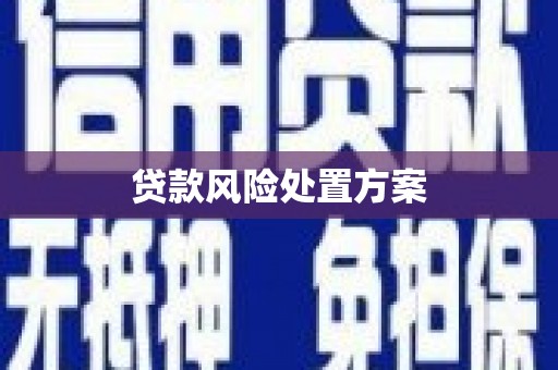 循化贷款风险处置方案