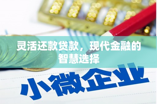 循化灵活还款贷款，现代金融的智慧选择