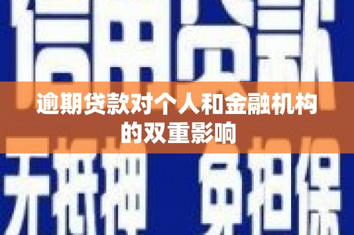 循化逾期贷款对个人和金融机构的双重影响