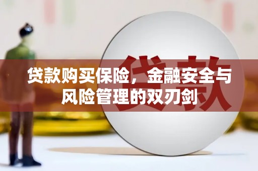 循化贷款购买保险，金融安全与风险管理的双刃剑