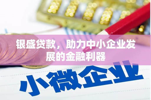 循化银盛贷款，助力中小企业发展的金融利器