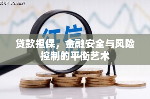 循化贷款担保，金融安全与风险控制的平衡艺术
