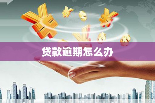 循化贷款逾期怎么办