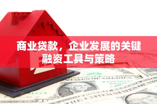 循化商业贷款，企业发展的关键融资工具与策略