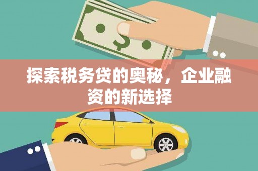 循化探索税务贷的奥秘，企业融资的新选择