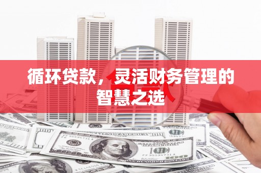 循化循环贷款，灵活财务管理的智慧之选