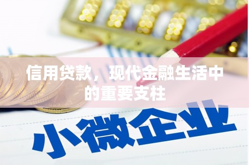 循化信用贷款，现代金融生活中的重要支柱