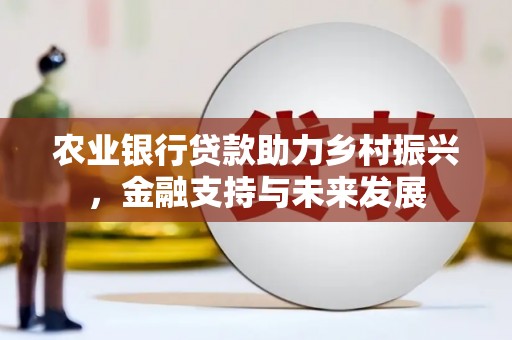 循化农业银行贷款助力乡村振兴，金融支持与未来发展