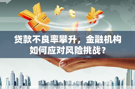 循化贷款不良率攀升，金融机构如何应对风险挑战？