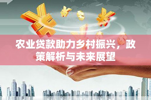循化农业贷款助力乡村振兴，政策解析与未来展望