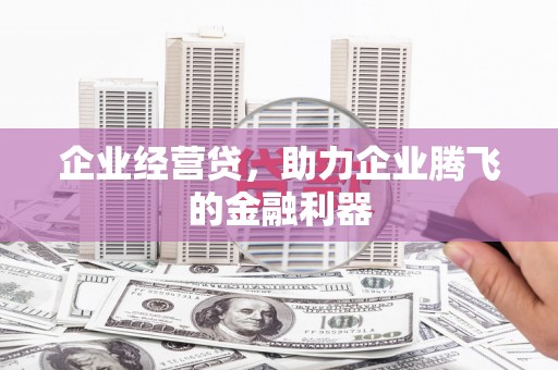 循化企业经营贷，助力企业腾飞的金融利器