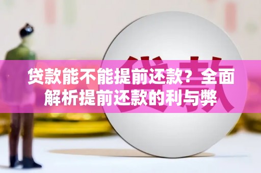 循化贷款能不能提前还款？全面解析提前还款的利与弊