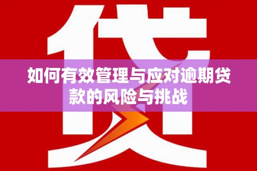 循化如何有效管理与应对逾期贷款的风险与挑战