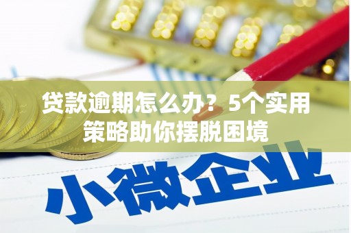 循化贷款逾期怎么办？5个实用策略助你摆脱困境