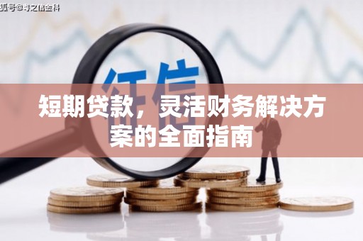 循化短期贷款，灵活财务解决方案的全面指南