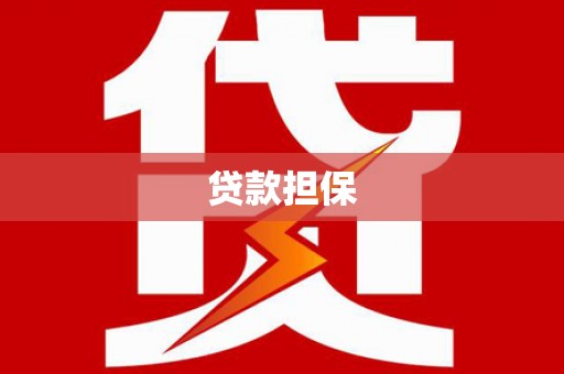 循化贷款担保