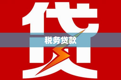 循化税务贷款