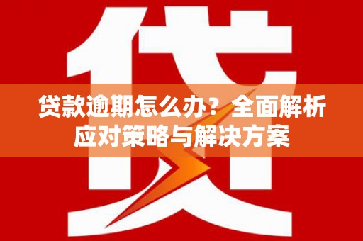 循化贷款逾期怎么办？全面解析应对策略与解决方案