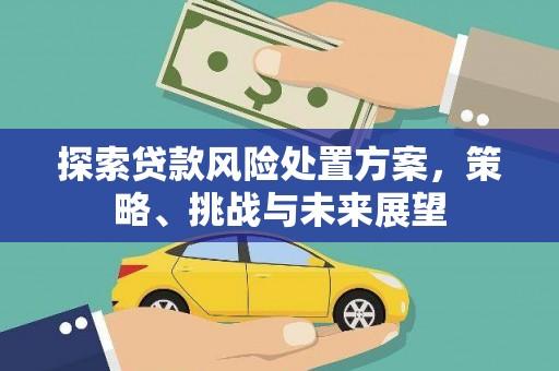 循化探索贷款风险处置方案，策略、挑战与未来展望