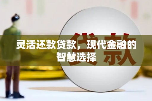 循化灵活还款贷款，现代金融的智慧选择
