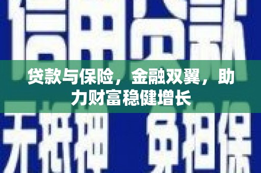 循化贷款与保险，金融双翼，助力财富稳健增长