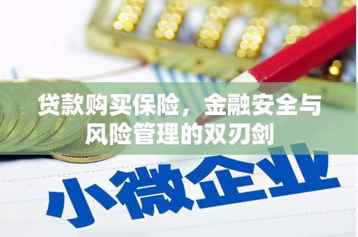 循化贷款购买保险，金融安全与风险管理的双刃剑