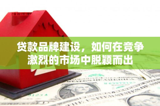 循化贷款品牌建设，如何在竞争激烈的市场中脱颖而出