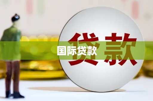 循化国际贷款