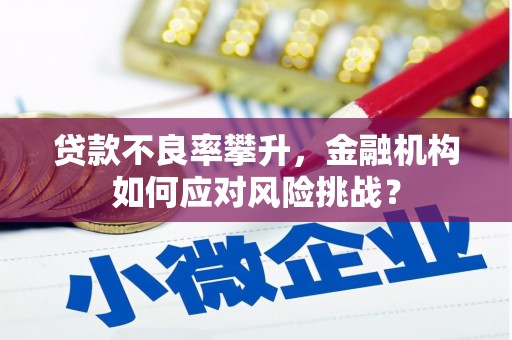 循化贷款不良率攀升，金融机构如何应对风险挑战？