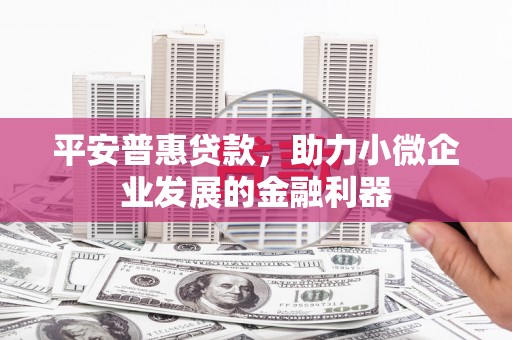 循化平安普惠贷款，助力小微企业发展的金融利器