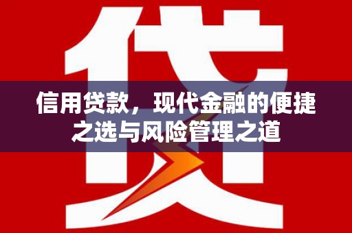 循化信用贷款，现代金融的便捷之选与风险管理之道