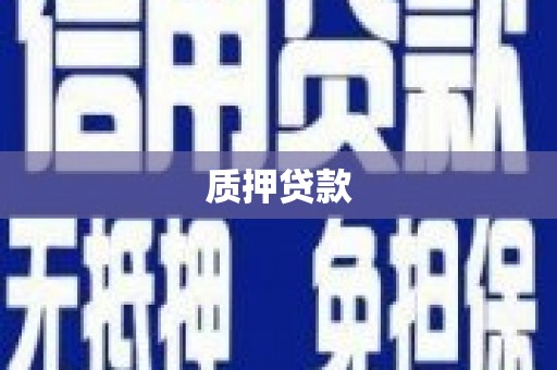 循化质押贷款
